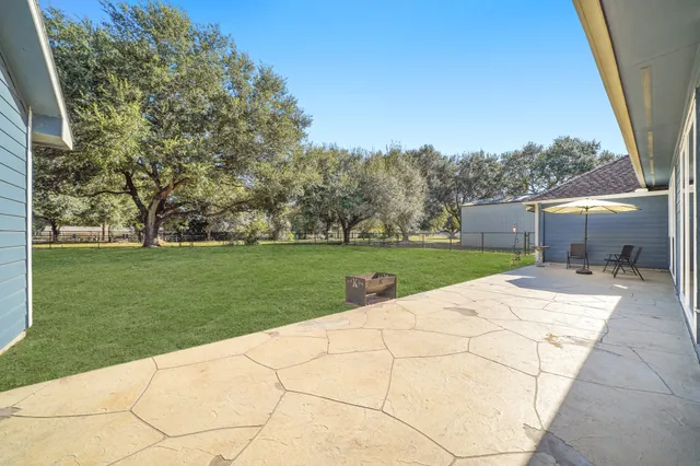 a view of a backyard with a garden and plants