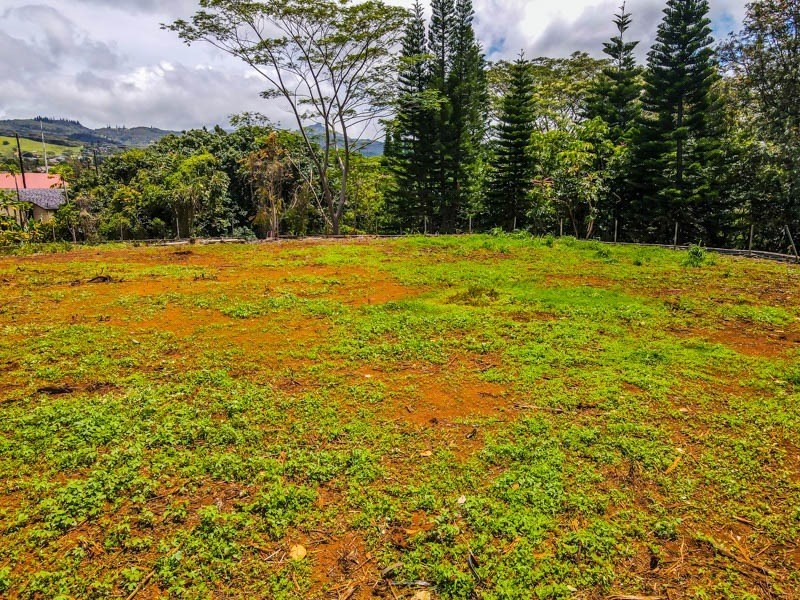 4370 Maka Road Kalaheo, HI 96741 - Photo 25 of 29 Gallery Image 25