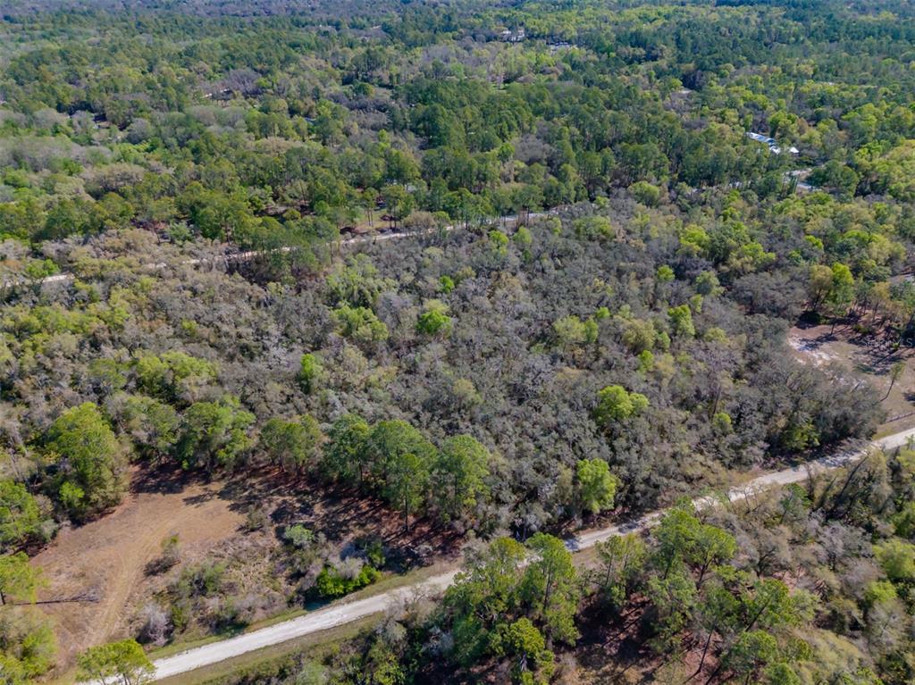 7262 Sonia Avenue Webster, FL 33597 - Photo 1 of 19