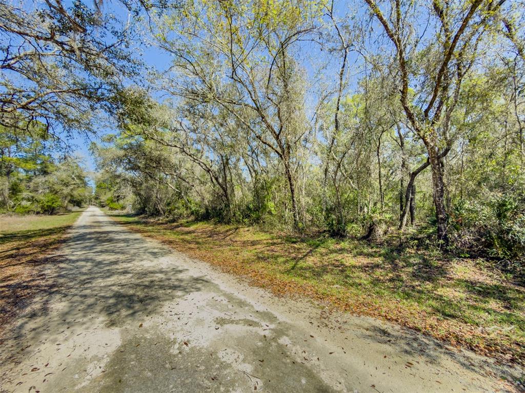7262 Sonia Avenue Webster, FL 33597 - Photo 11 of 19