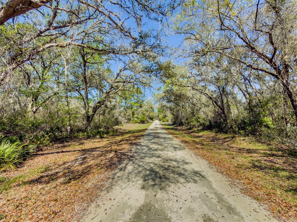 7262 Sonia Avenue Webster, FL 33597 - Photo 13 of 19