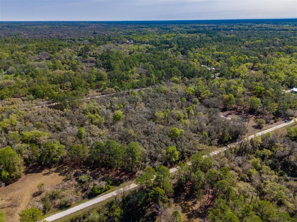 7262 Sonia Avenue Webster, FL 33597 - Photo 14 of 19