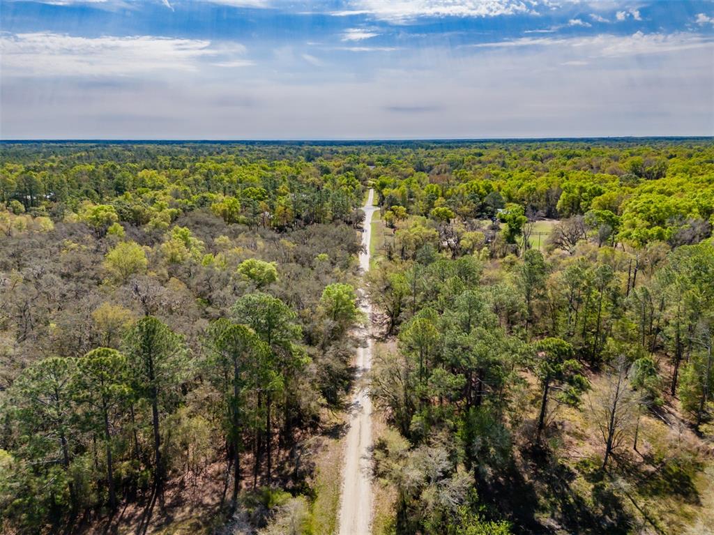 7262 Sonia Avenue Webster, FL 33597 - Photo 15 of 19