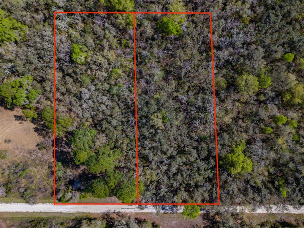 7262 Sonia Avenue Webster, FL 33597 - Photo 17 of 19