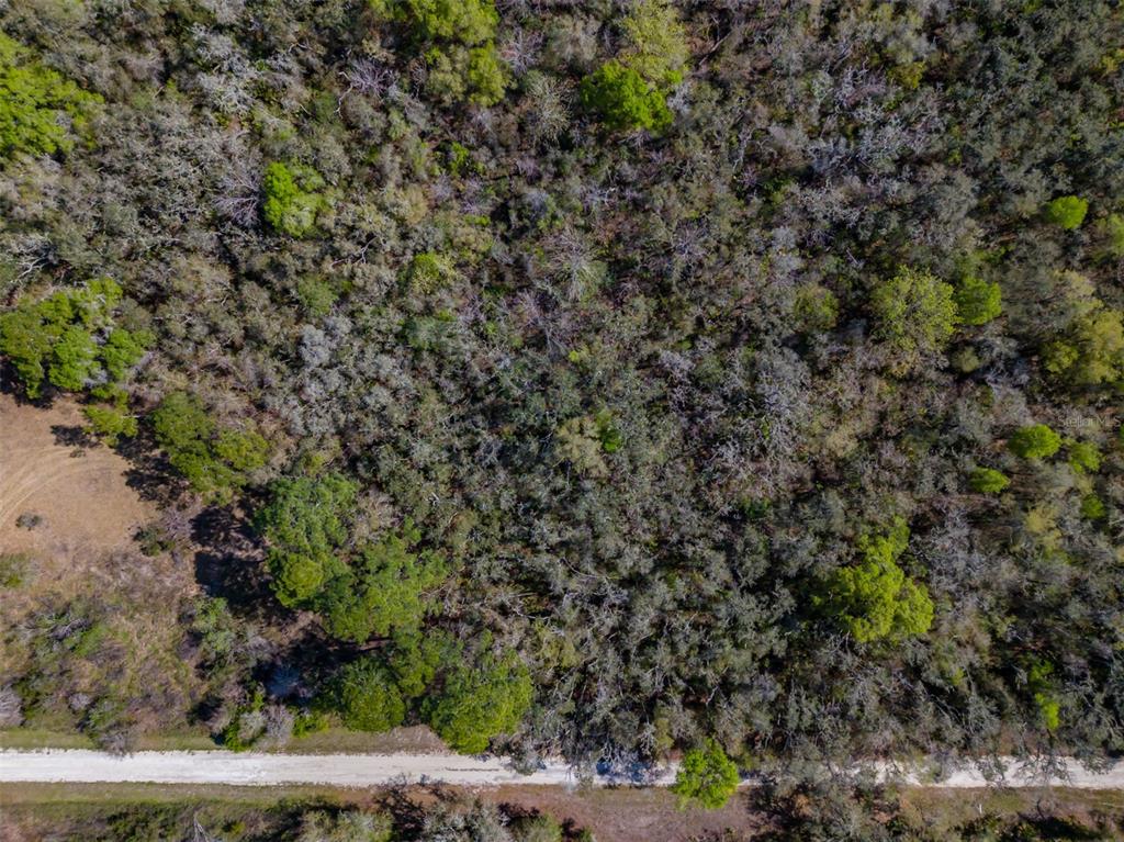 7262 Sonia Avenue Webster, FL 33597 - Photo 18 of 19