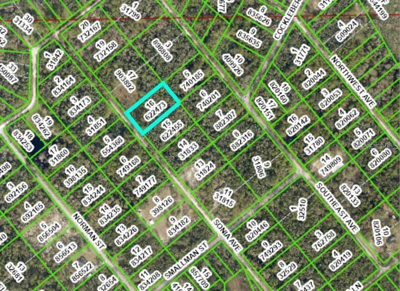 7262 Sonia Avenue Webster, FL 33597 - Photo 19 of 19
