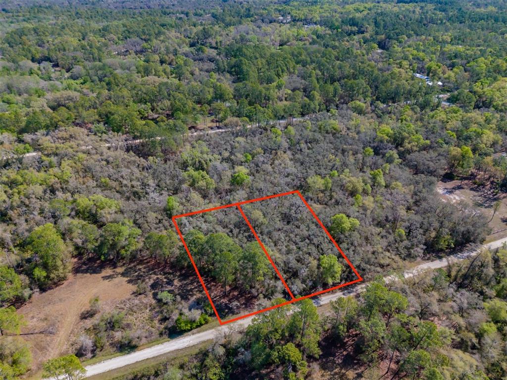 7262 Sonia Avenue Webster, FL 33597 - Photo 2 of 19