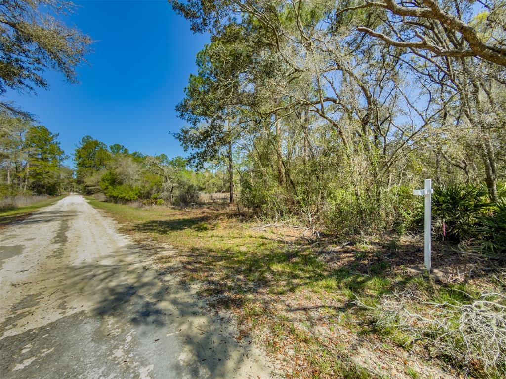 7262 Sonia Avenue Webster, FL 33597 - Photo 5 of 19