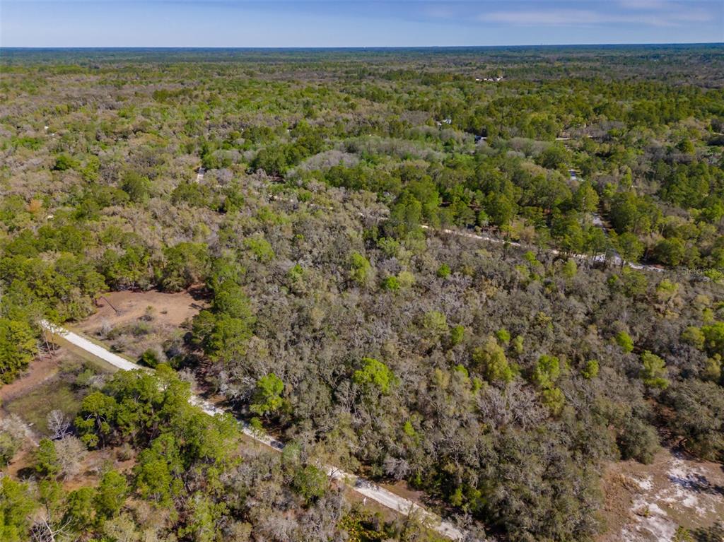 7262 Sonia Avenue Webster, FL 33597 - Photo 6 of 19