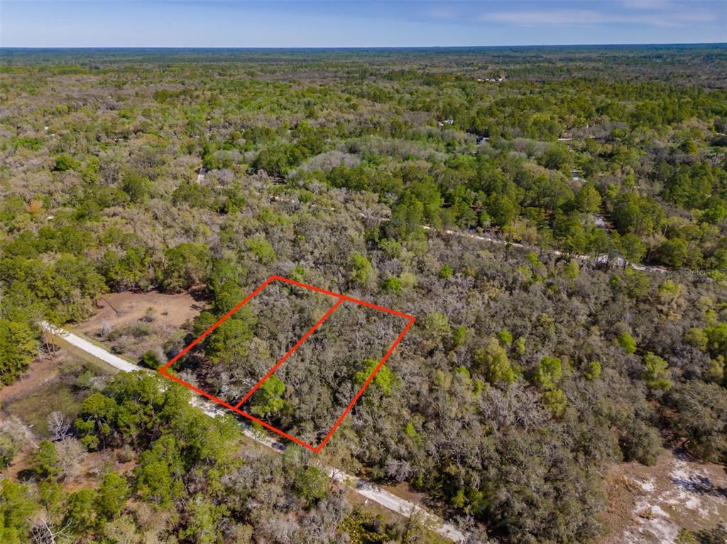 7262 Sonia Avenue Webster, FL 33597 - Photo 10 of 19