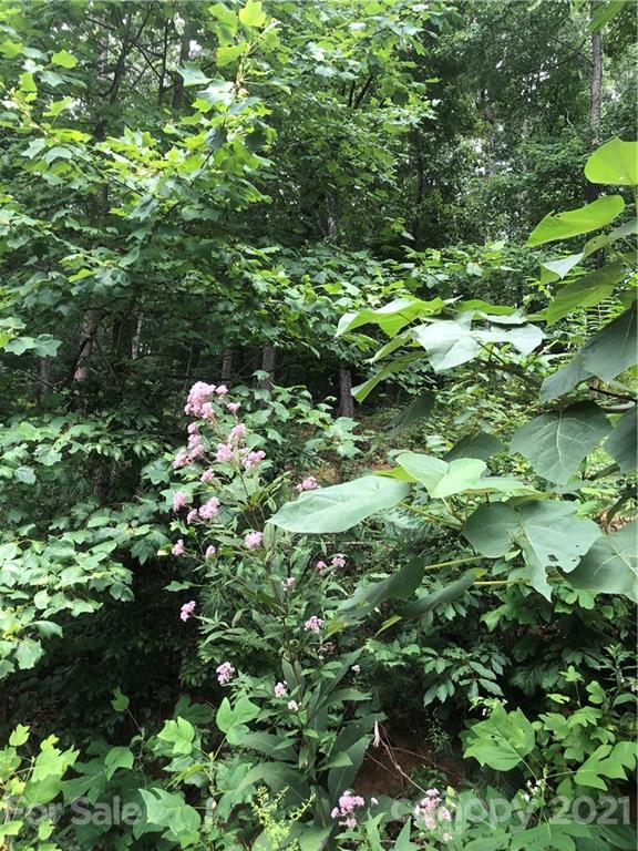 0 Mackenzie Way Swannanoa, NC 28778 - Photo 14 of 21 Gallery Image 14