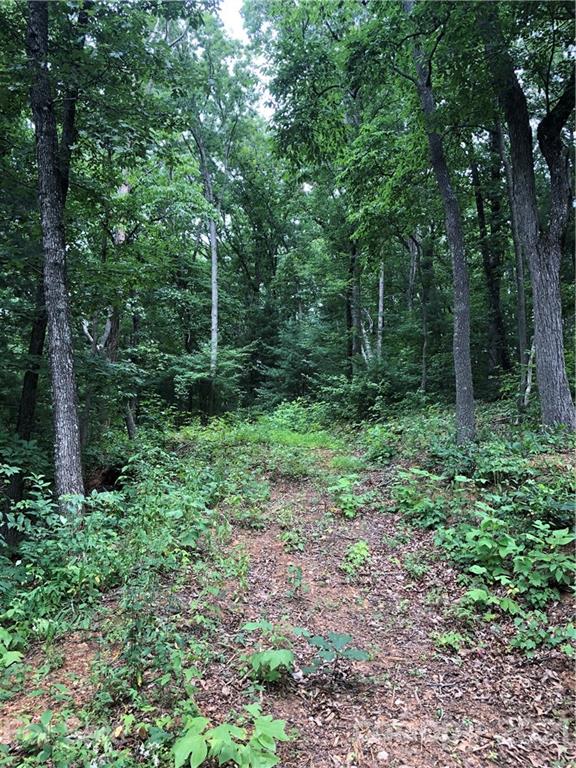 0 Mackenzie Way Swannanoa, NC 28778 - Photo 3 of 21 Gallery Image 3