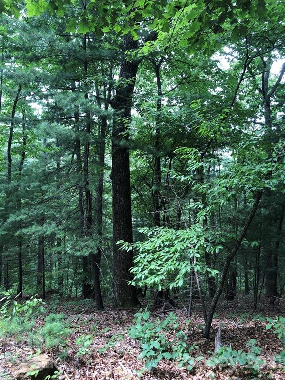 0 Mackenzie Way Swannanoa, NC 28778 - Photo 8 of 21 Gallery Image 8