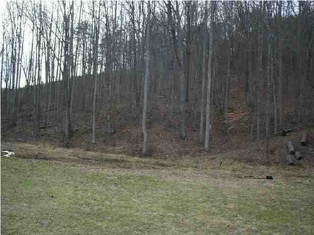1930 Shiloh Road, Unit 6 Decatur, TN 37322 - Photo 3 of 3 Additional Photo