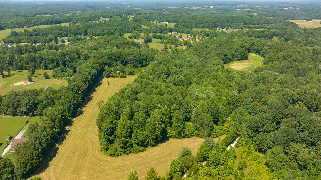 1068 Mt Vernon Road Bethpage, TN 37022 - Photo 17 of 25 a view of a lake with a yard