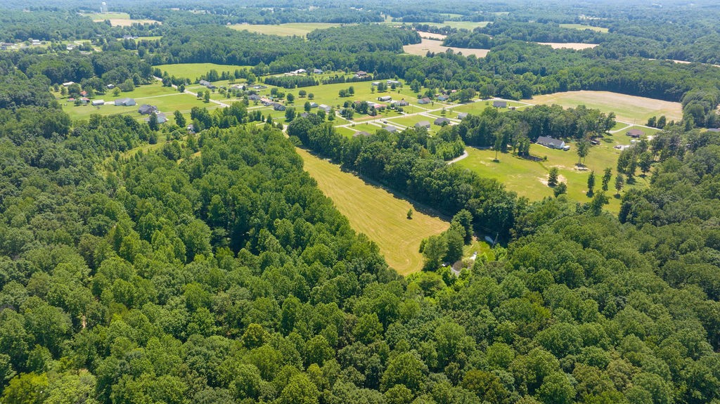 1068 Mt Vernon Road Bethpage, TN 37022 - Photo 23 of 25 an aerial view of residential houses with outdoor space and trees