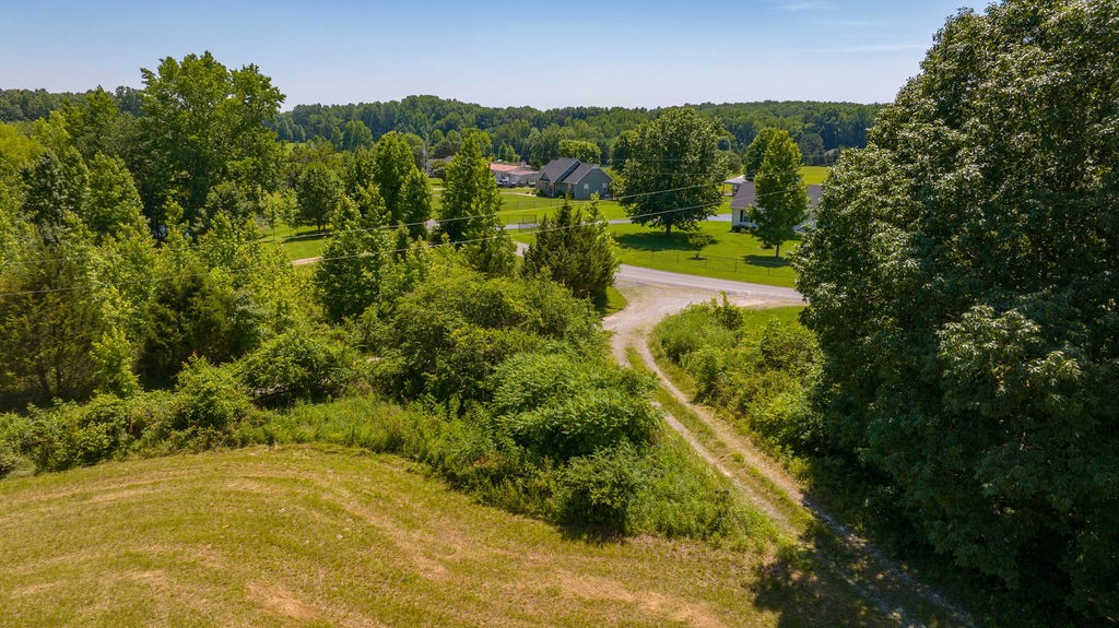 1068 Mt Vernon Road Bethpage, TN 37022 - Photo 6 of 25 a view of a yard with plants