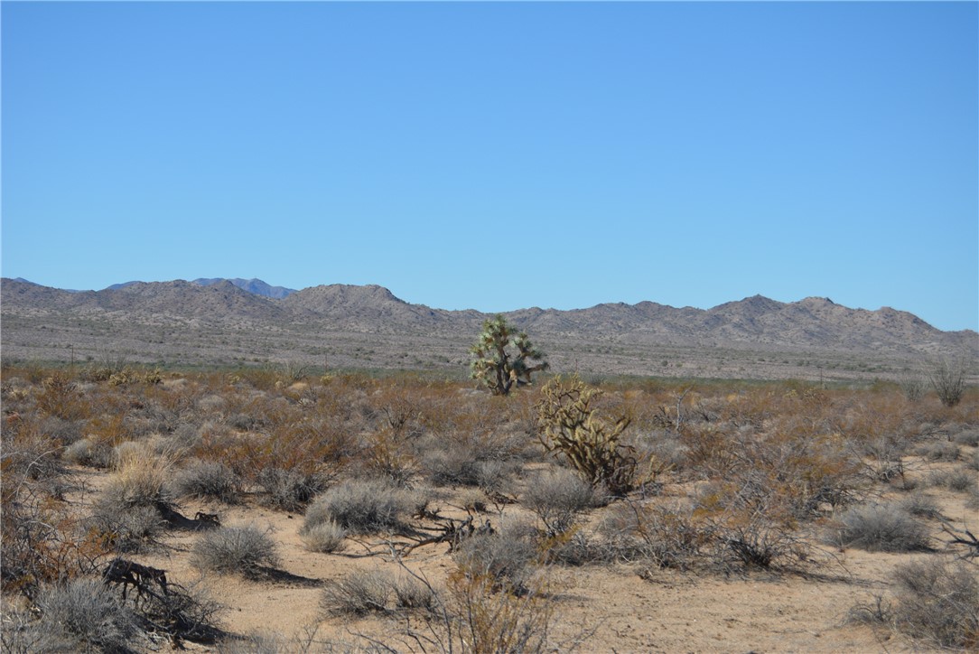 207-35-005 South Arlington Road Yucca, AZ 86438 - Photo 2 of 92