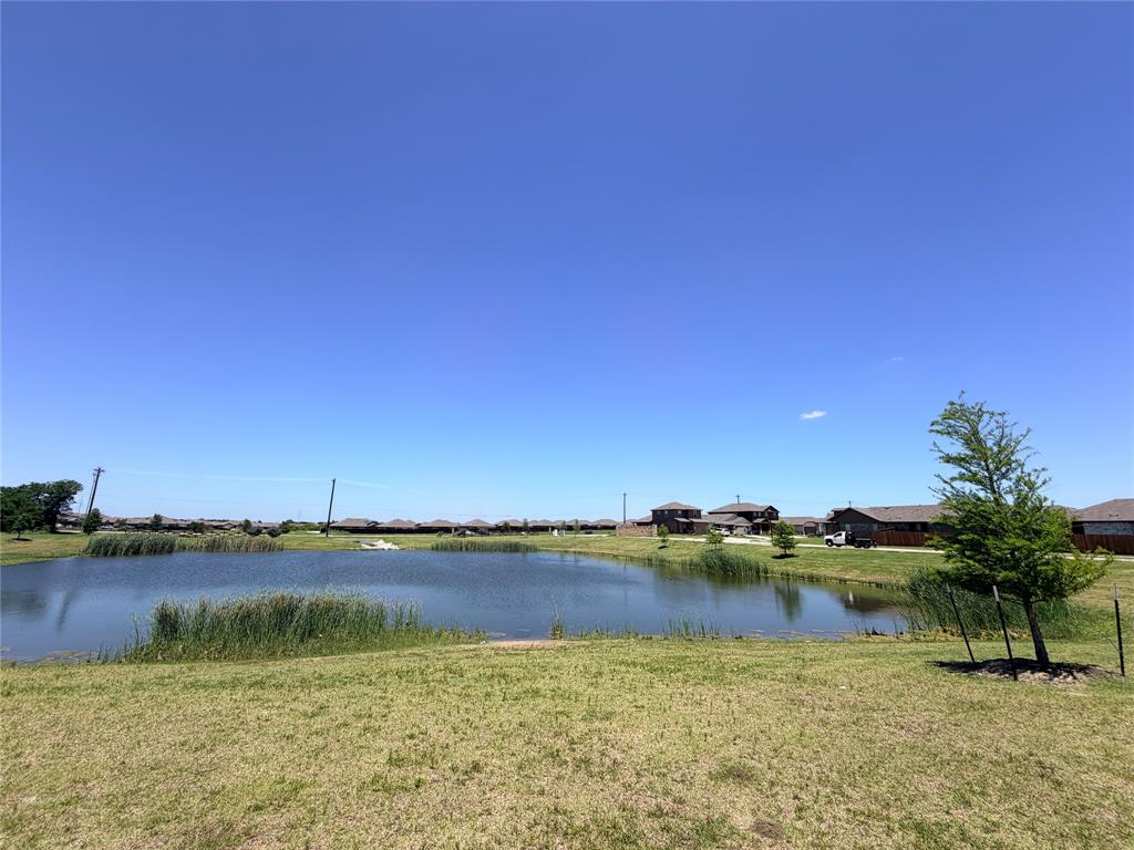 816 Country Road Royse City, TX 75189 - Photo 18 of 24 Expansive pond with reeded edges and surrounding grassy areas, featuring a clear sky overhead