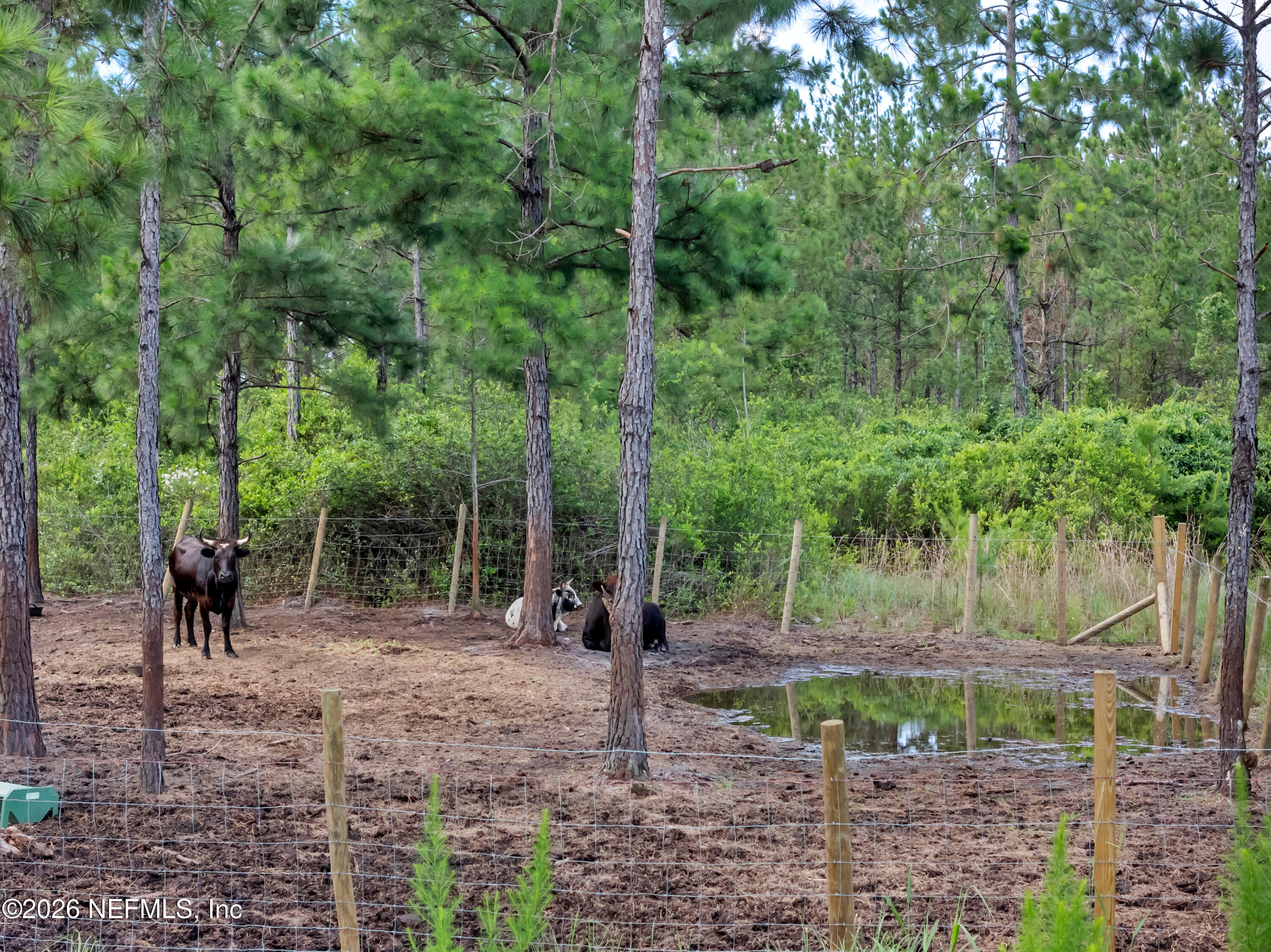 6195 River Road Callahan, FL 32011 - Photo 41 of 46 6195 River Rd-46