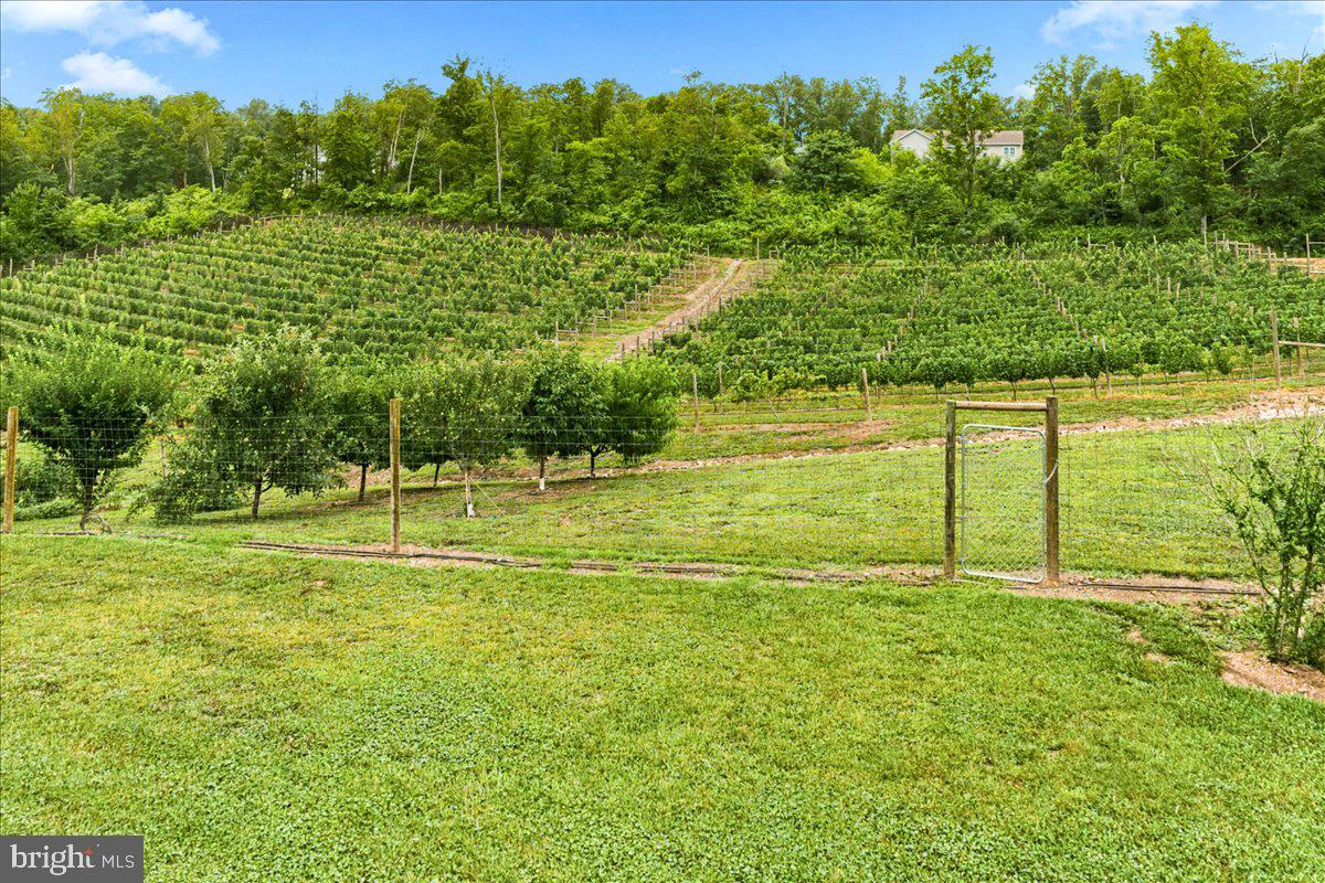 1309 Redland Road Cross Junction, VA 22625 - Photo 77 of 84