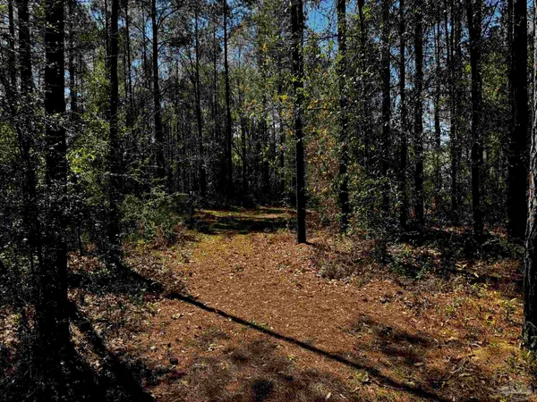 $129,700 | 0 Hwy 89 Milton, Jay, FL 32565