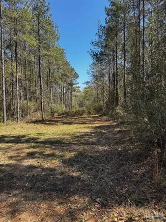 $129,700 | 0 Hwy 89 Milton, Jay, FL 32565