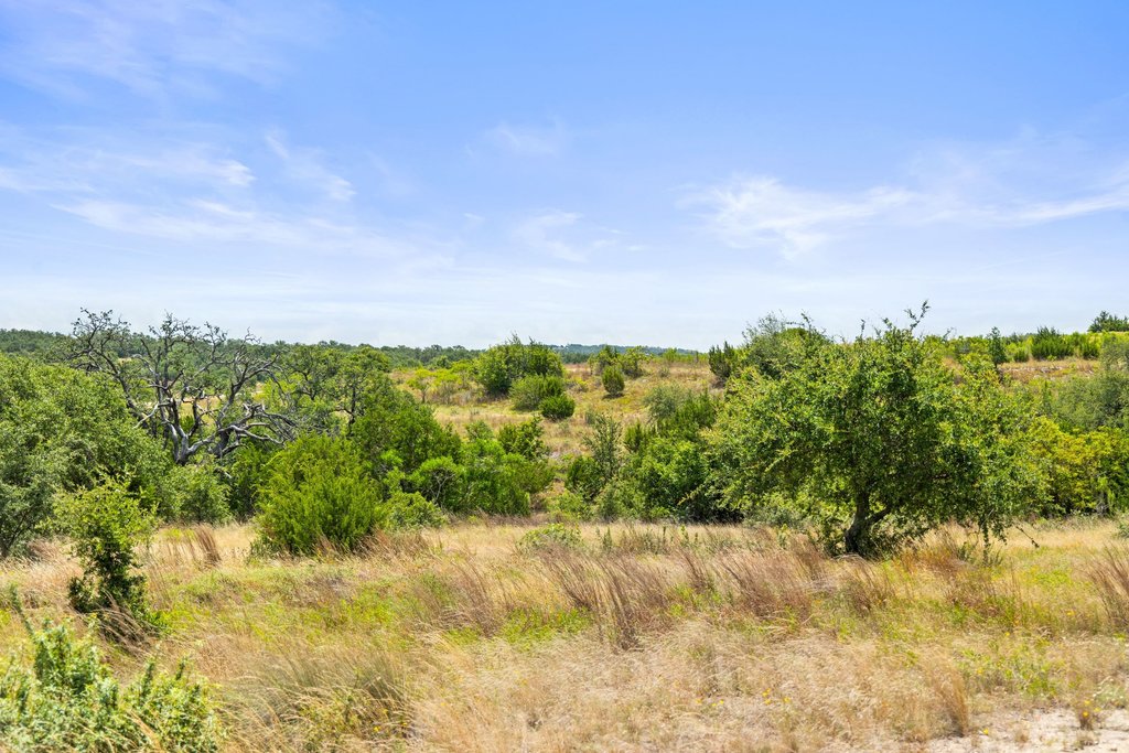 207 Verbena Road Johnson City, TX 78636 - Photo 8 of 40 Vast stretches of golden grasses and diverse tree coverage define this natural, buildable lot.
