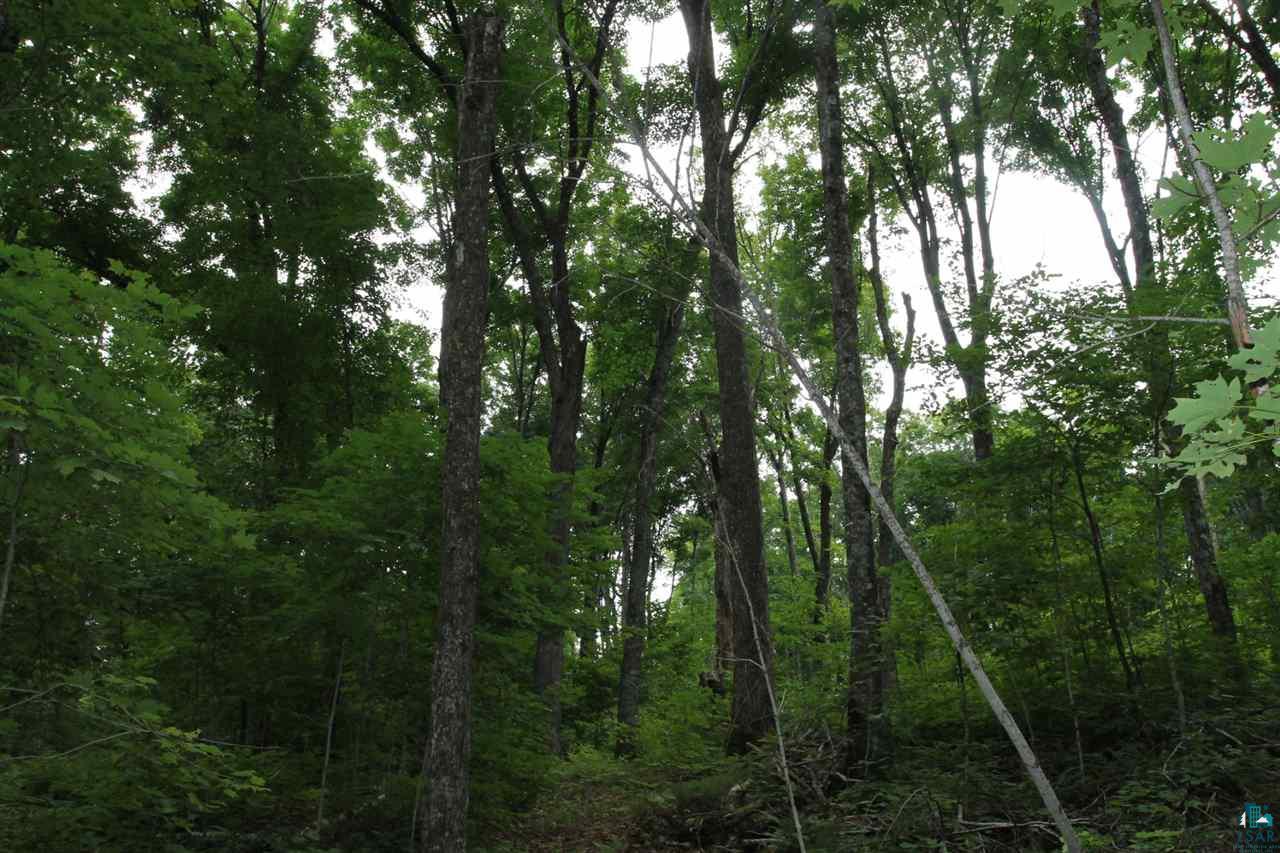 0 Fire Road Cable, WI 54821 - Photo 11 of 14
