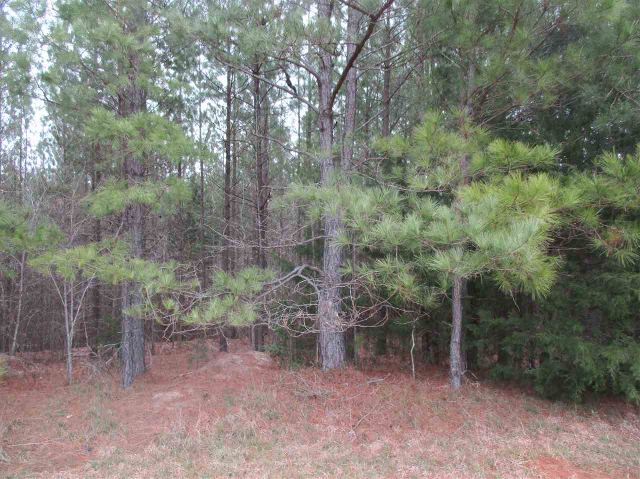 800 Kelly Road Union, SC 29379 - Photo 1 of 2
