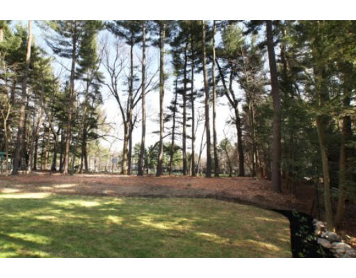 66 Parker Road Wellesley, MA 02482 - Photo 3 of 6