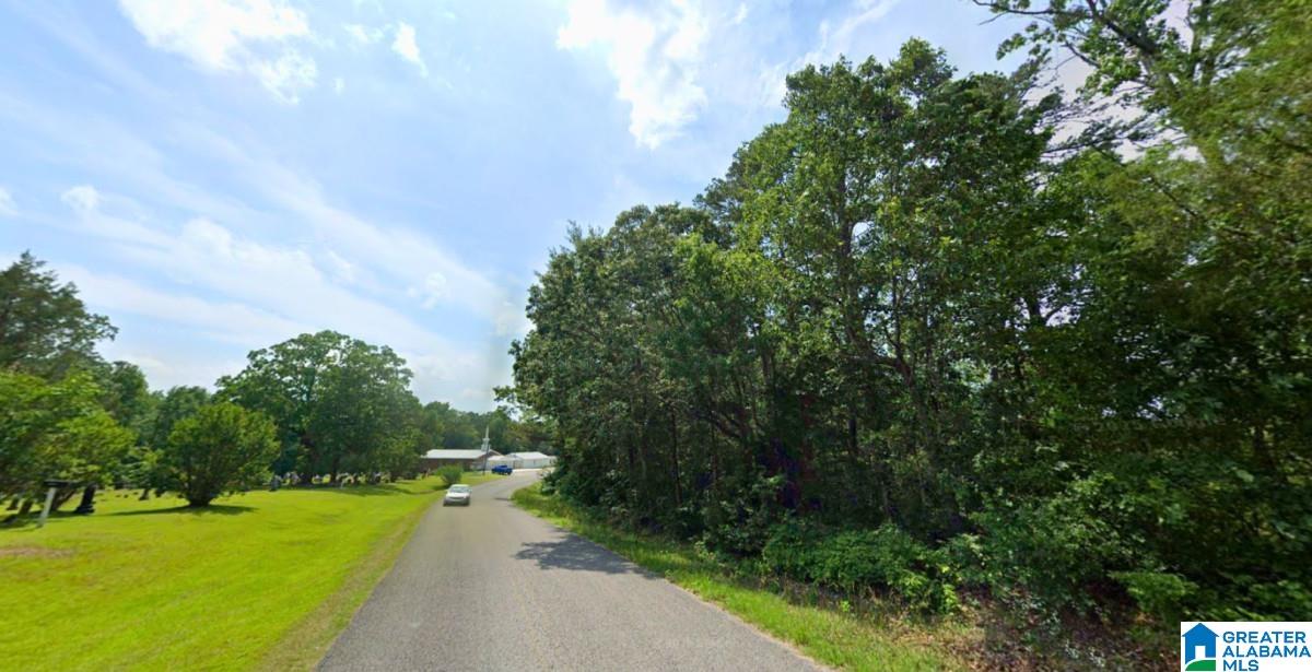 20 County Road Haleyville, AL 35565 - Photo 1 of 17