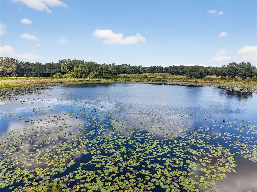 48 County Road Groveland, FL 34736 - Photo 11 of 13