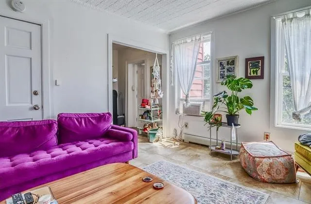a living room with furniture and a potted plant