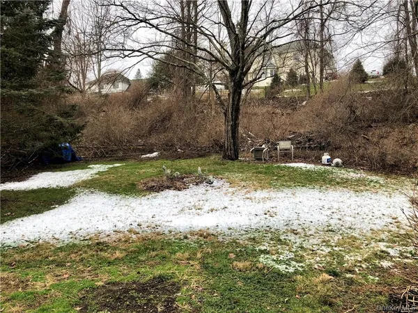 a view of a tree with a yard