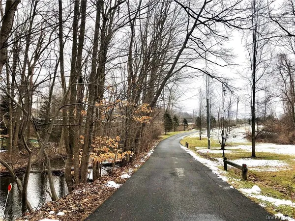 a view of a park with trees