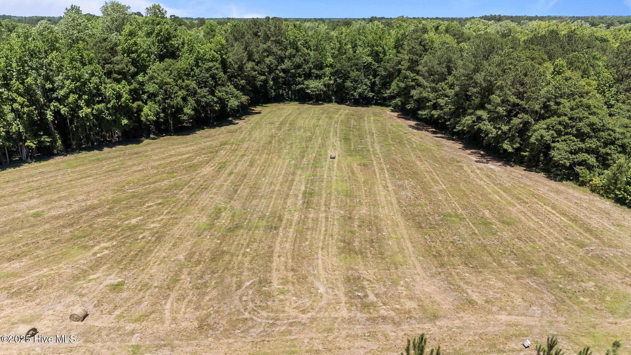 0 Newtown Loop Road Atkinson, NC 28421 - Photo 3 of 4 11-web-or-mls-DJI_20250522133254_0082_D