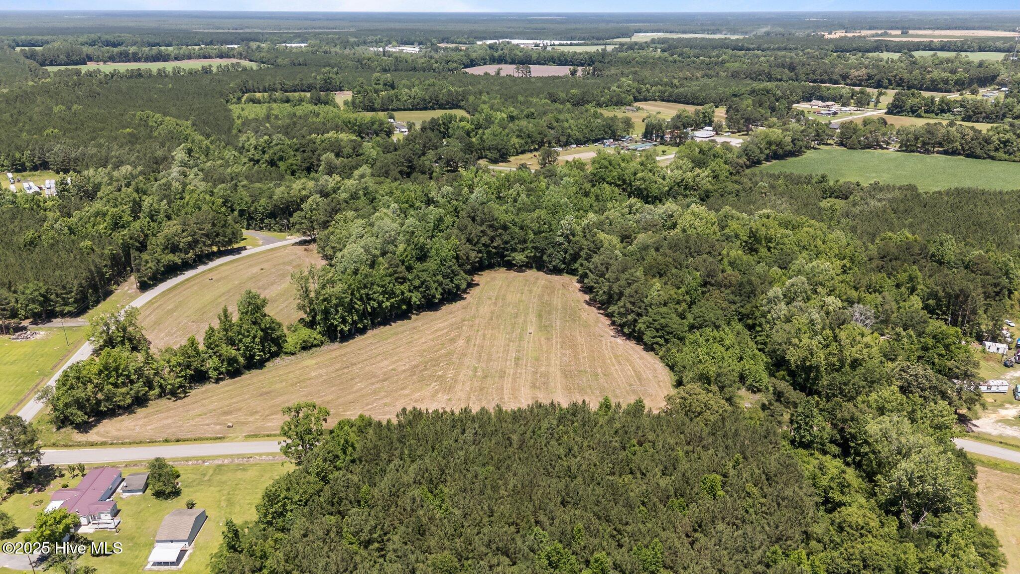 0 Newtown Loop Road Atkinson, NC 28421 - Photo 4 of 4 11-web-or-mls-DJI_20250522133135_0080_D