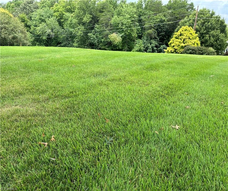 224 Lynnhaven Road Mount Airy, NC 27030 - Photo 11 of 45 Gallery Image 11
