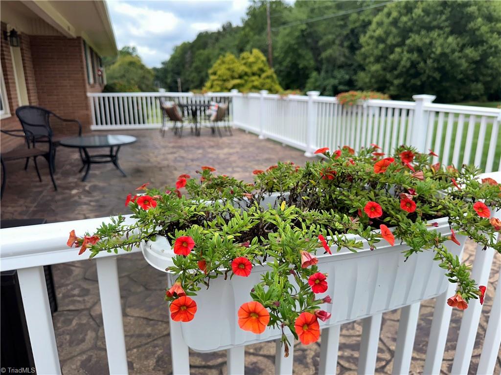 224 Lynnhaven Road Mount Airy, NC 27030 - Photo 10 of 45 Gallery Image 10