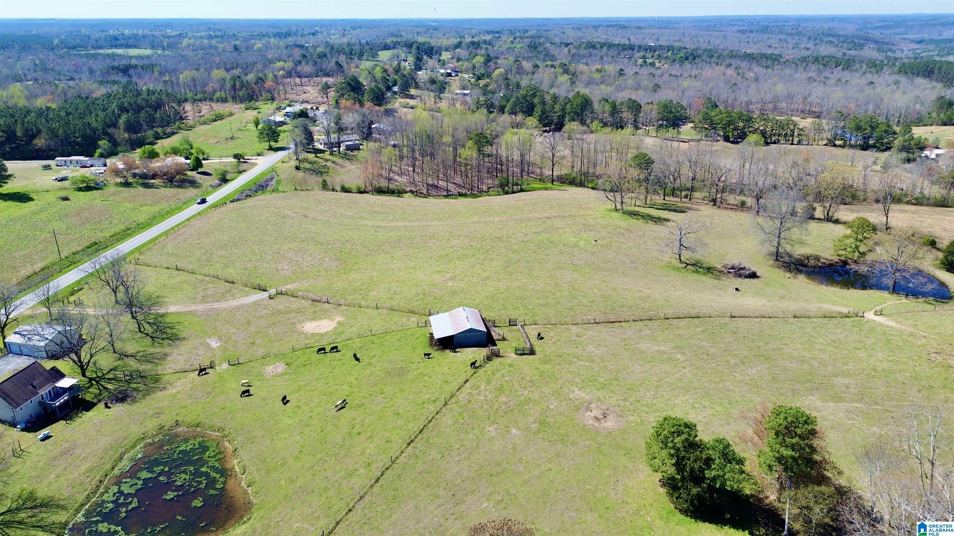 8115 Helicon Road Arley, AL 35541 - Photo 6 of 86