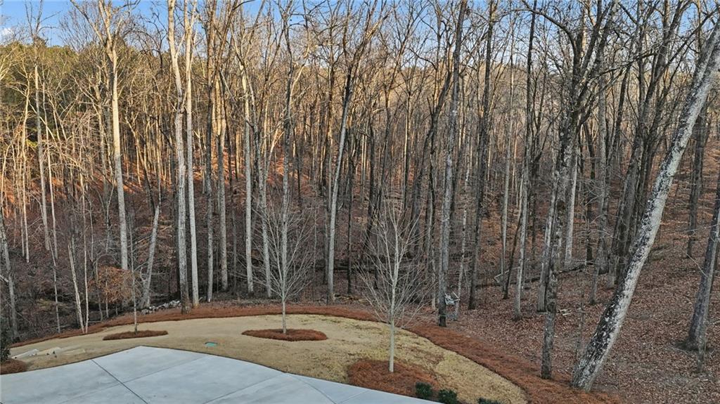 15850 Burdette Court Milton, GA 30004 - Photo 78 of 90