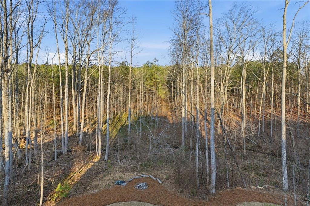 15850 Burdette Court Milton, GA 30004 - Photo 79 of 90