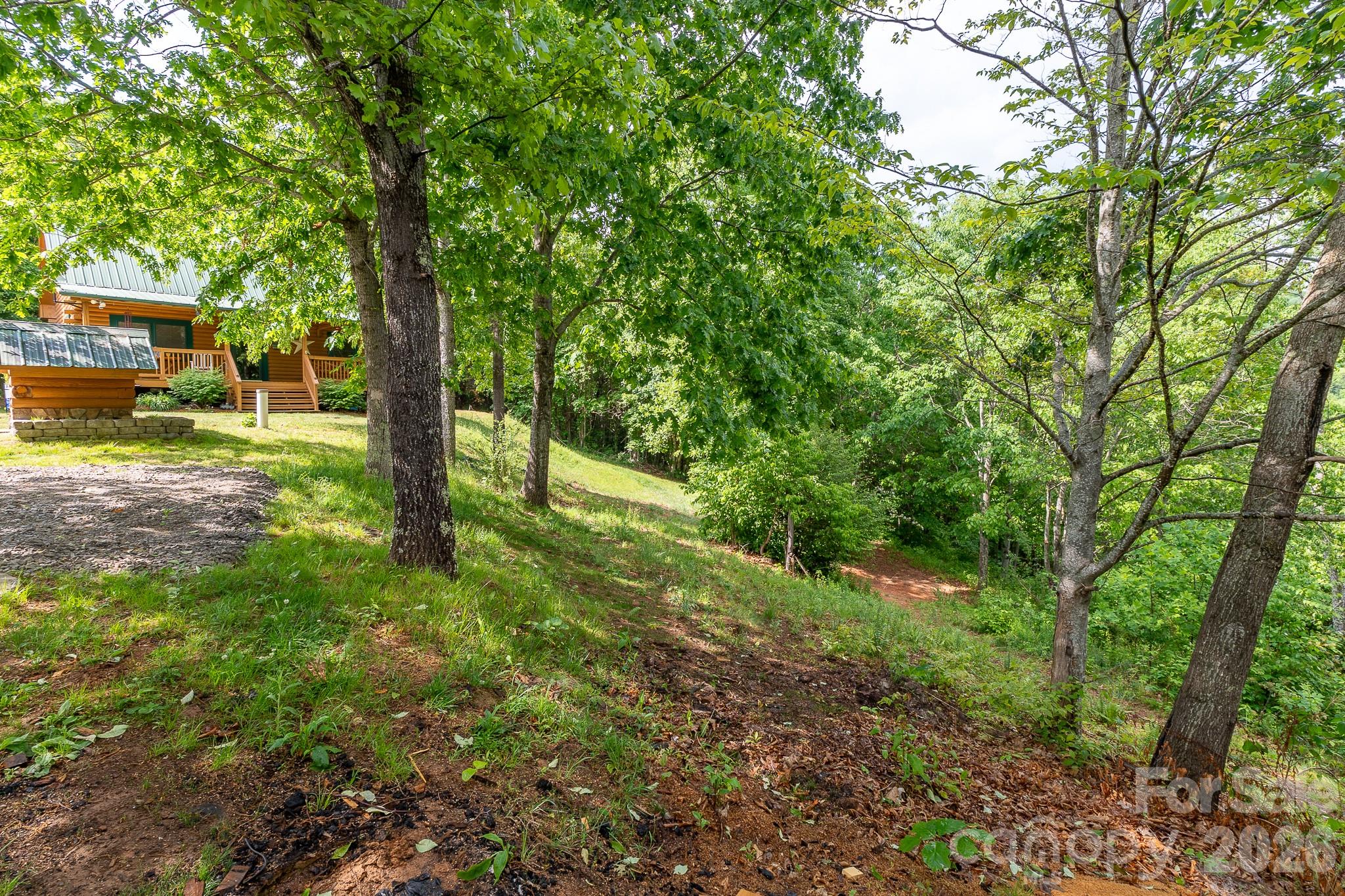 451 Rustic Ridge Drive Canton, NC 28716 - Photo 37 of 44 a view of a yard with a tree