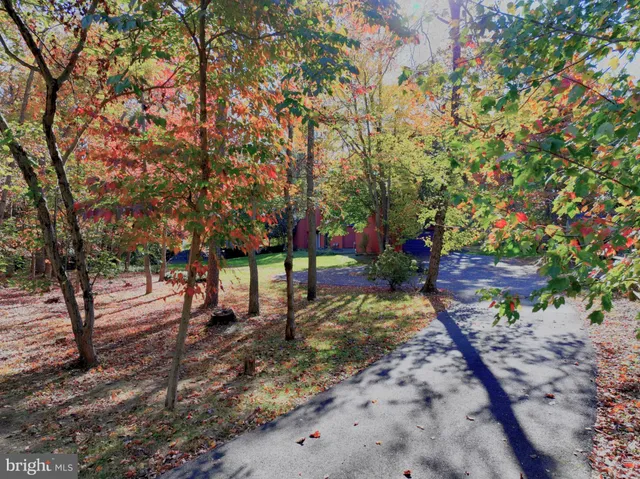 a view of a park with large trees