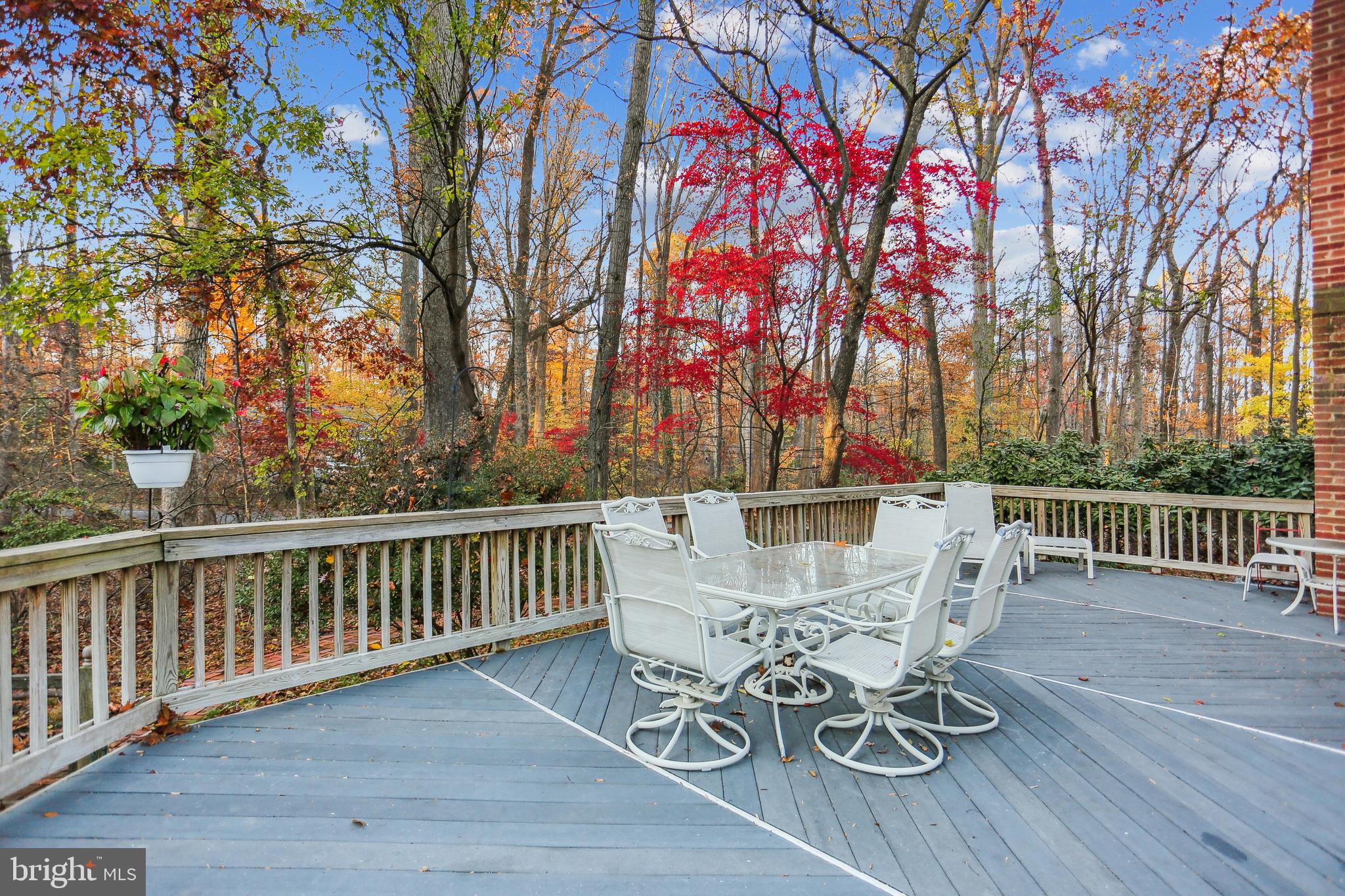 1117 Notley Road Silver Spring, MD 20904 - Photo 3 of 66