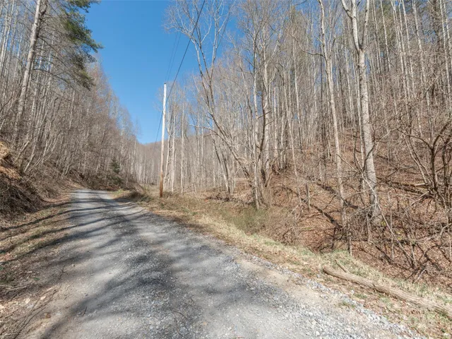 a view of backyard with wooden fence