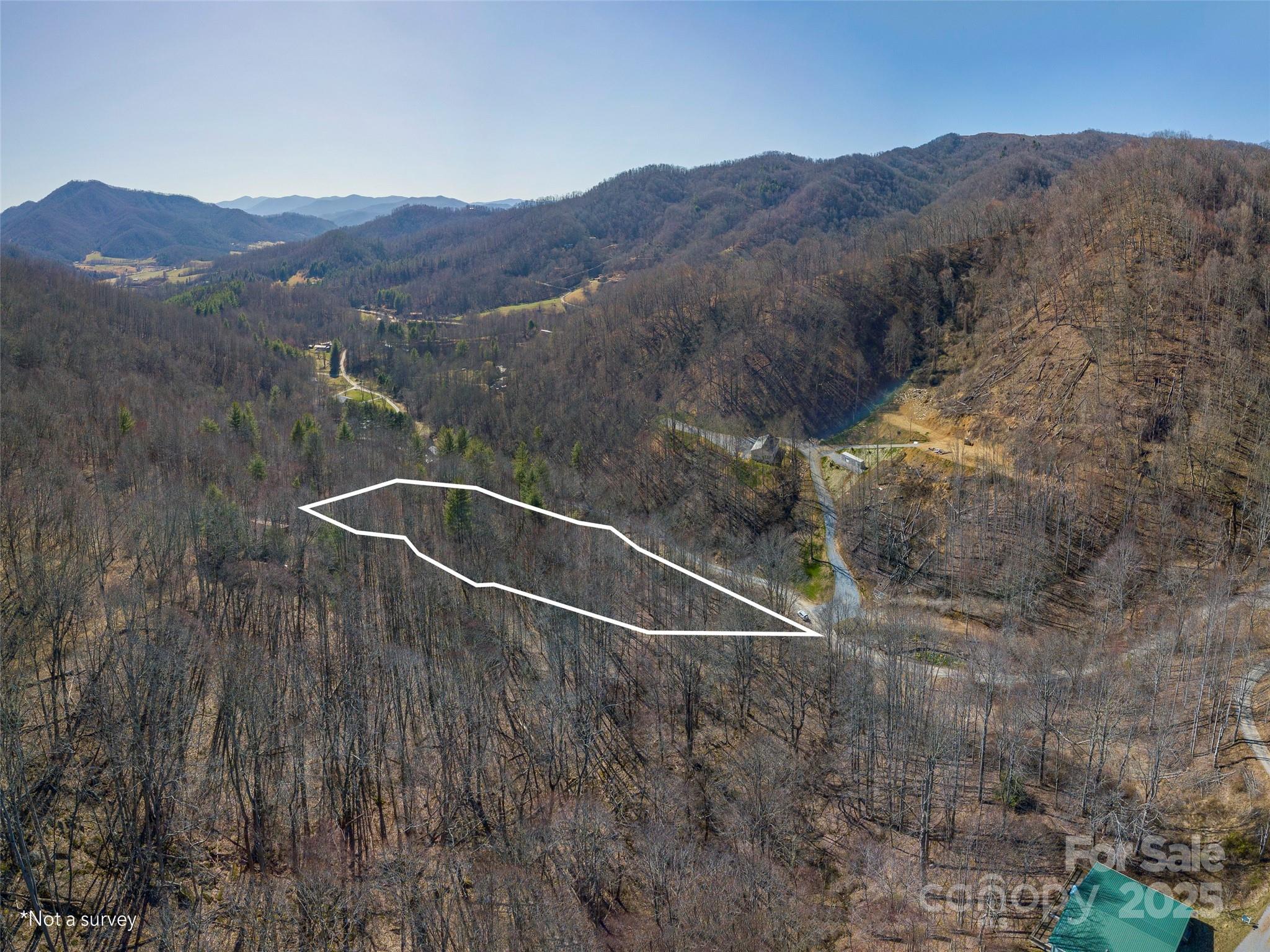 99999 Gibson Branch Road Clyde, NC 28721 - Photo 2 of 11