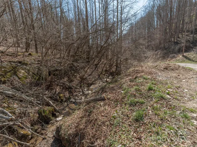 a view of a yard with a tree