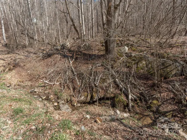 a view of bushes and trees